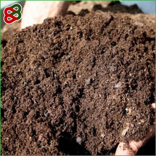 Cung cấp phân vi sinh, phân compost